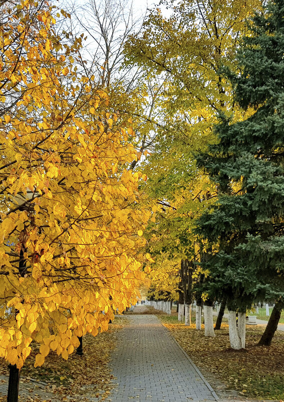 Желтое и зелёное - Валерий Ткаченко