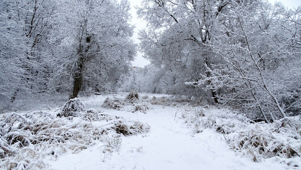 Городской парк после снегопада. - Милешкин Владимир Алексеевич 