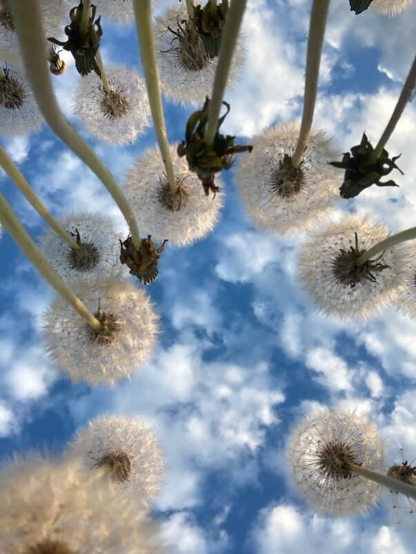 Скоро полетим - Ольга Савельева 