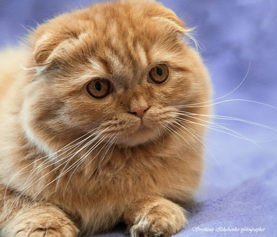 Куба - Светлана Ищенко Куба - Светлана Ищенко