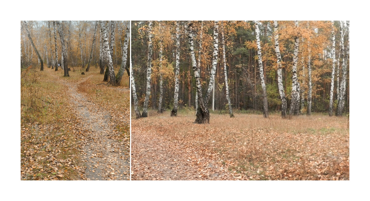 в парке осень - Лера в парке осень - Лера