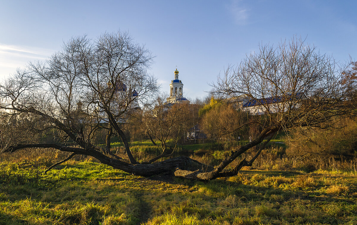 Раскидистая ива - Сергей Цветков