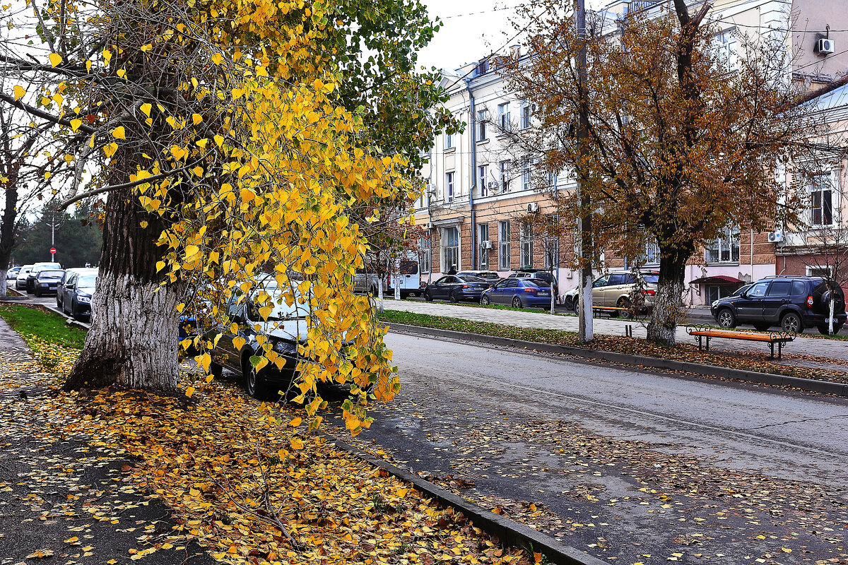 Осенний день - Юрий Гайворонскiий