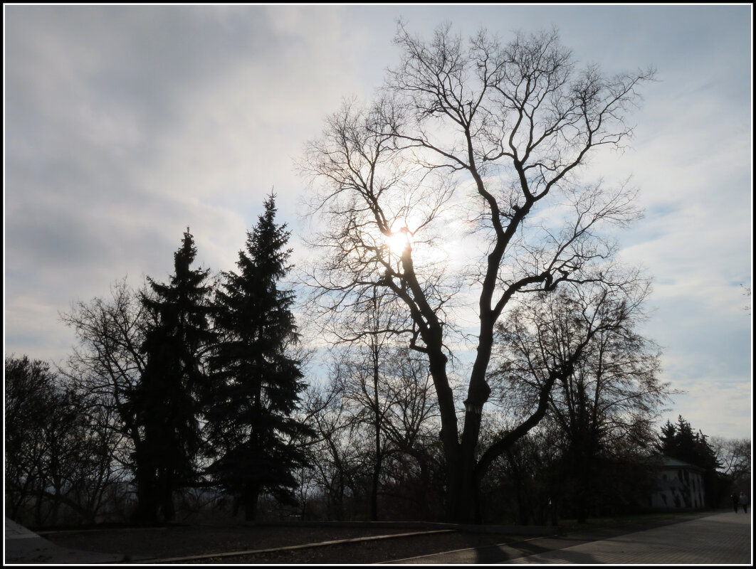 Погожий денёк. - Егор Бабанов