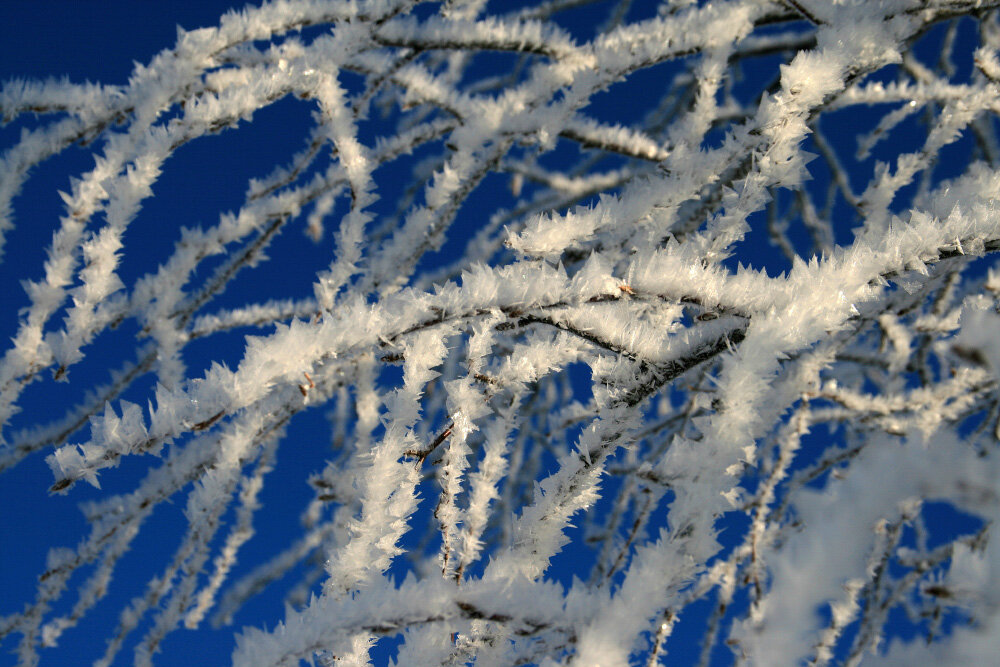 Подморозило... - Галина Ильясова