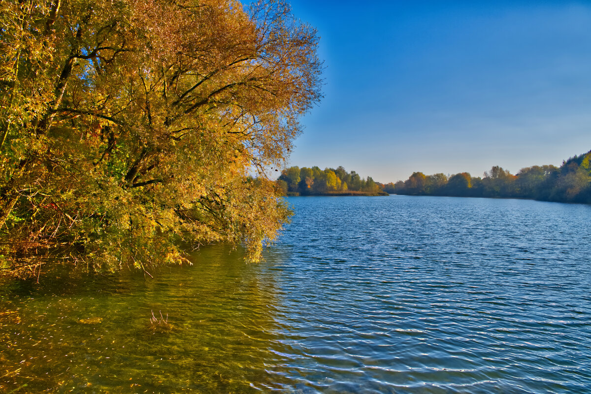 (°-°) - Jakob Dick