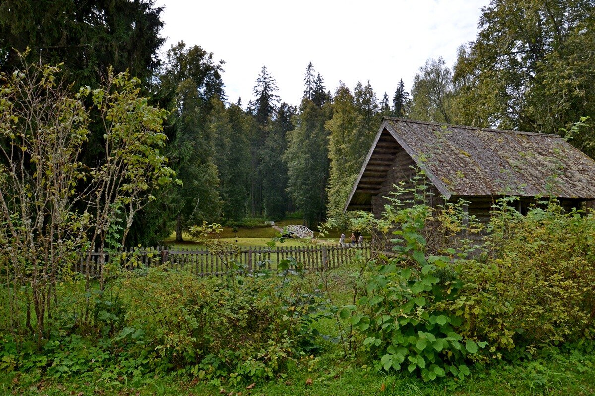 МИХАЙЛОВСКОЕ. - Виктор Осипчук МИХАЙЛОВСКОЕ. - Виктор Осипчук