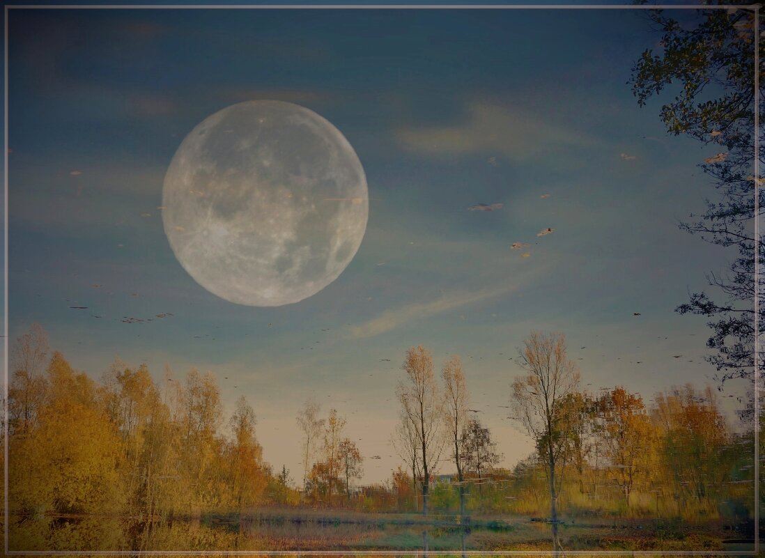 ВЕЧЕР... - Elvira E. 