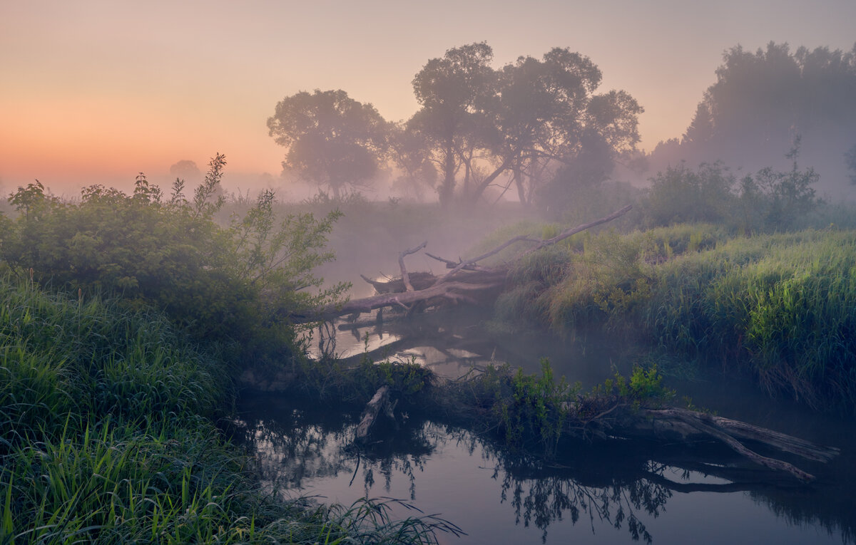 Хранящая остаток ночи  ... - Roman Lunin