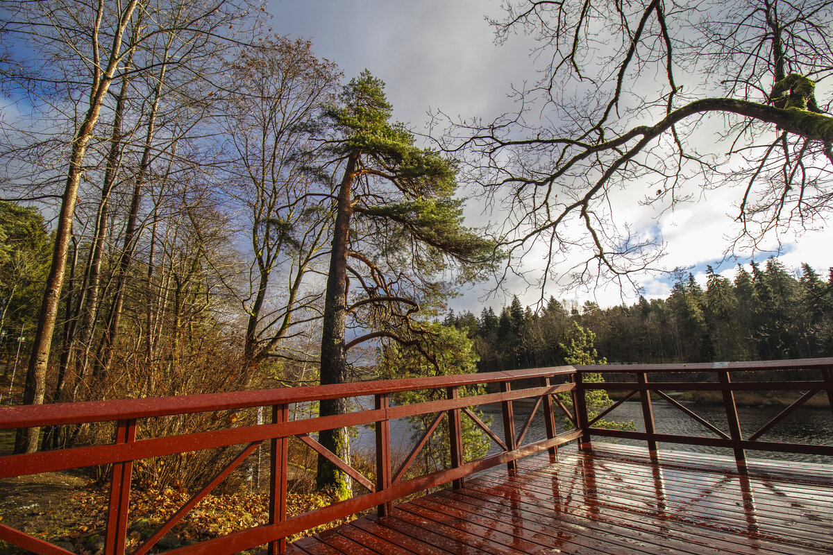 б/н - Николай 