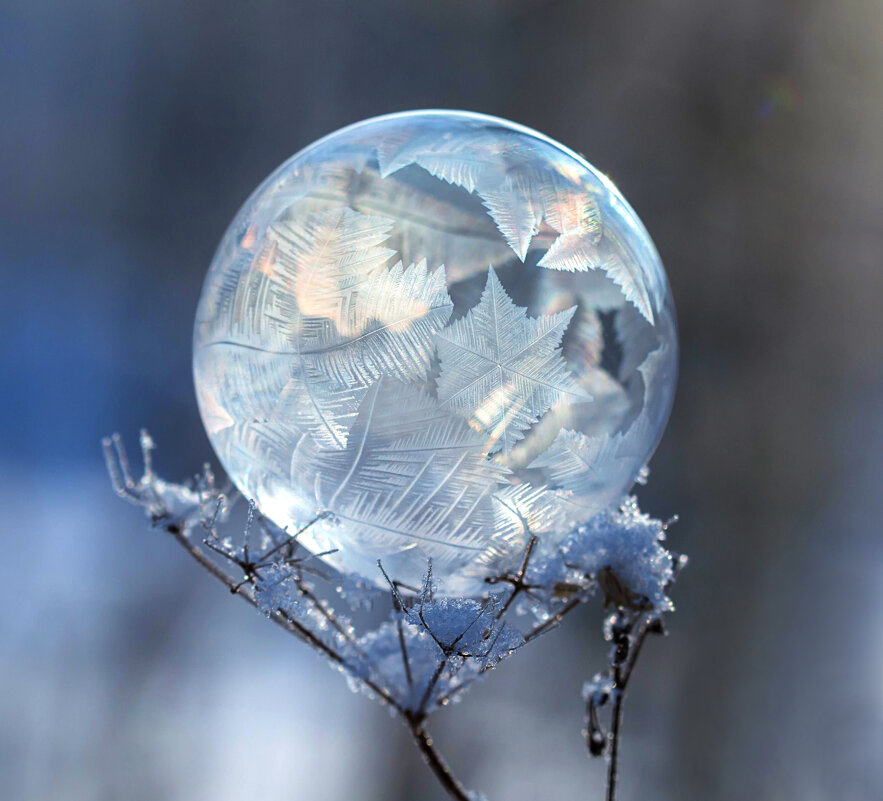 Пузырь - Андрей Пристяжнюк Пузырь - Андрей Пристяжнюк