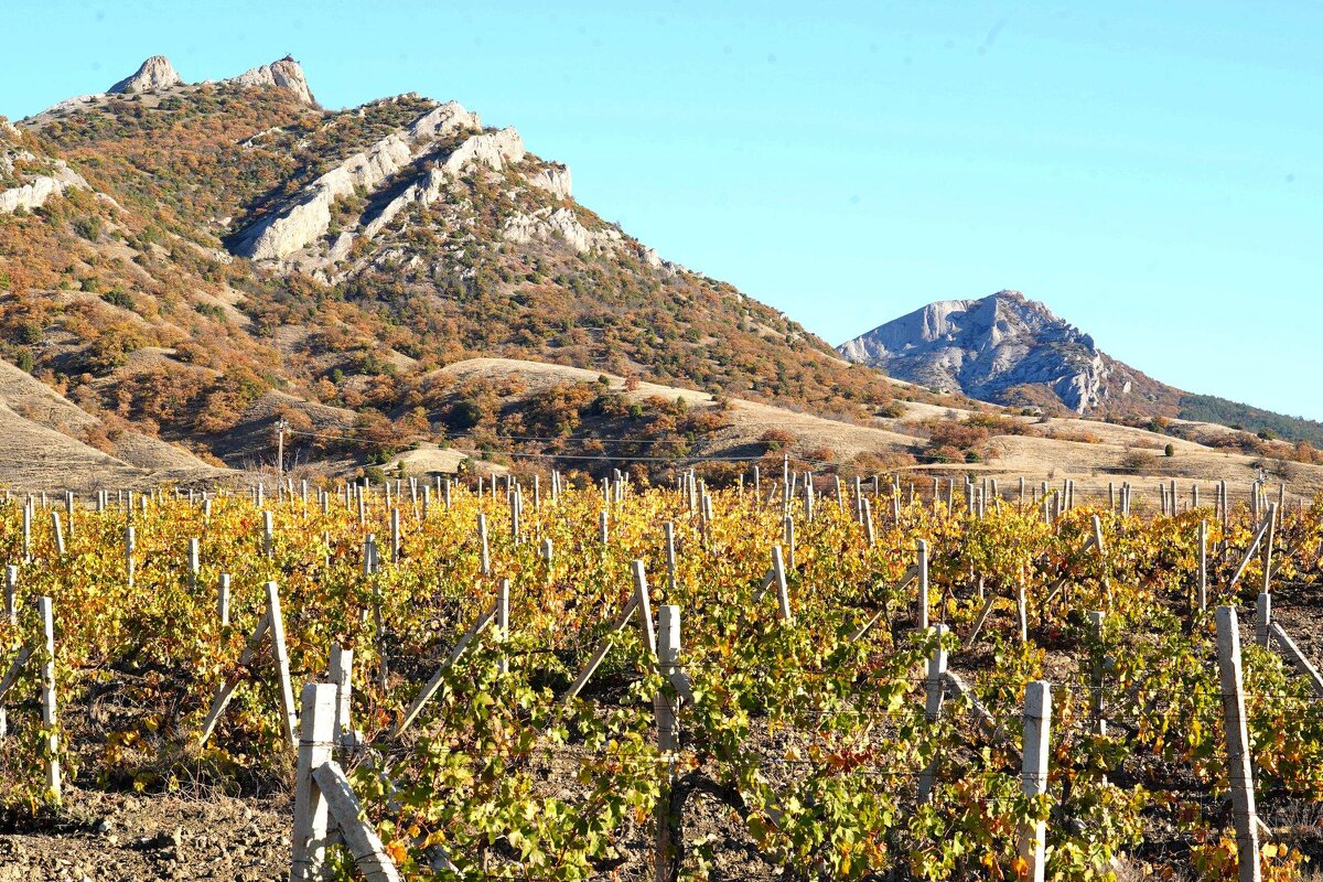 Горный пейзаж - Татьяна Тюменка