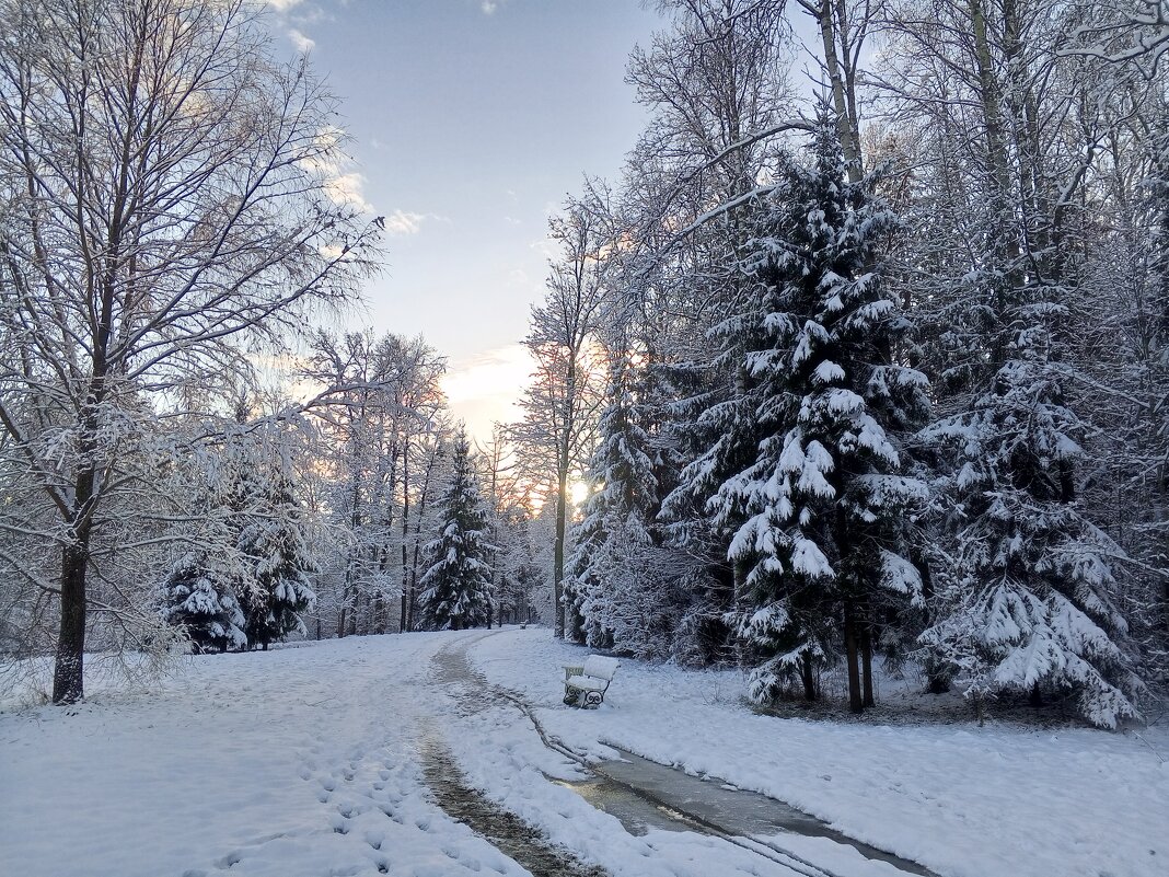 Зима - Сапсан 