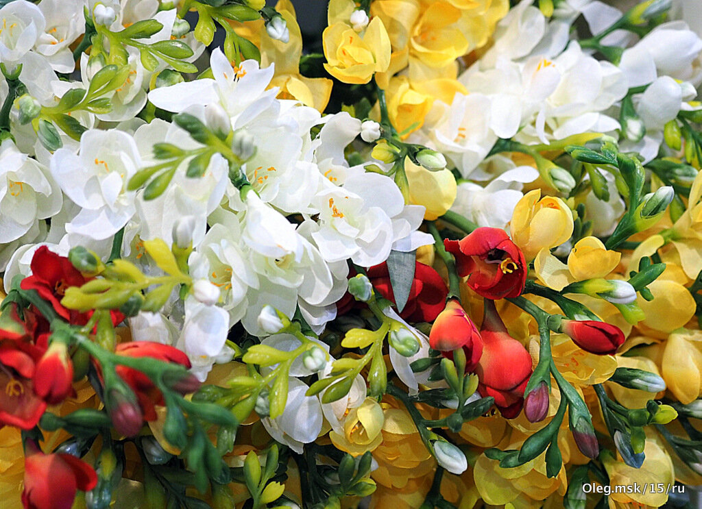 они на радость нам даны - Олег Лукьянов