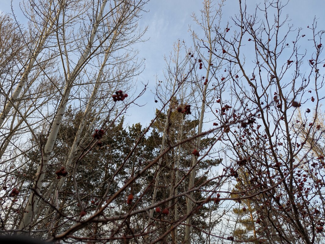 Город... - Андрей Хлопонин