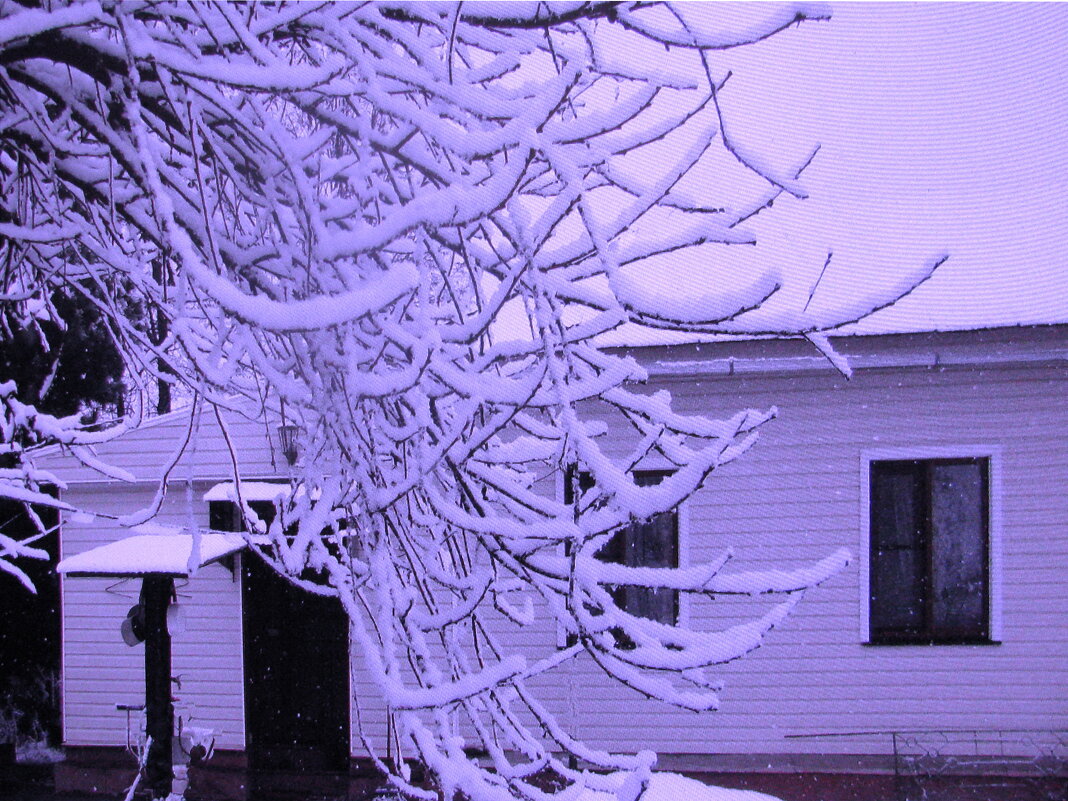 После снегопада - Людмила Смородинская