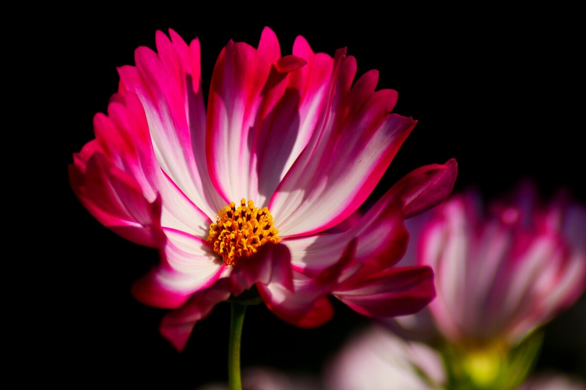 Доброе утро - Юрий. Шмаков