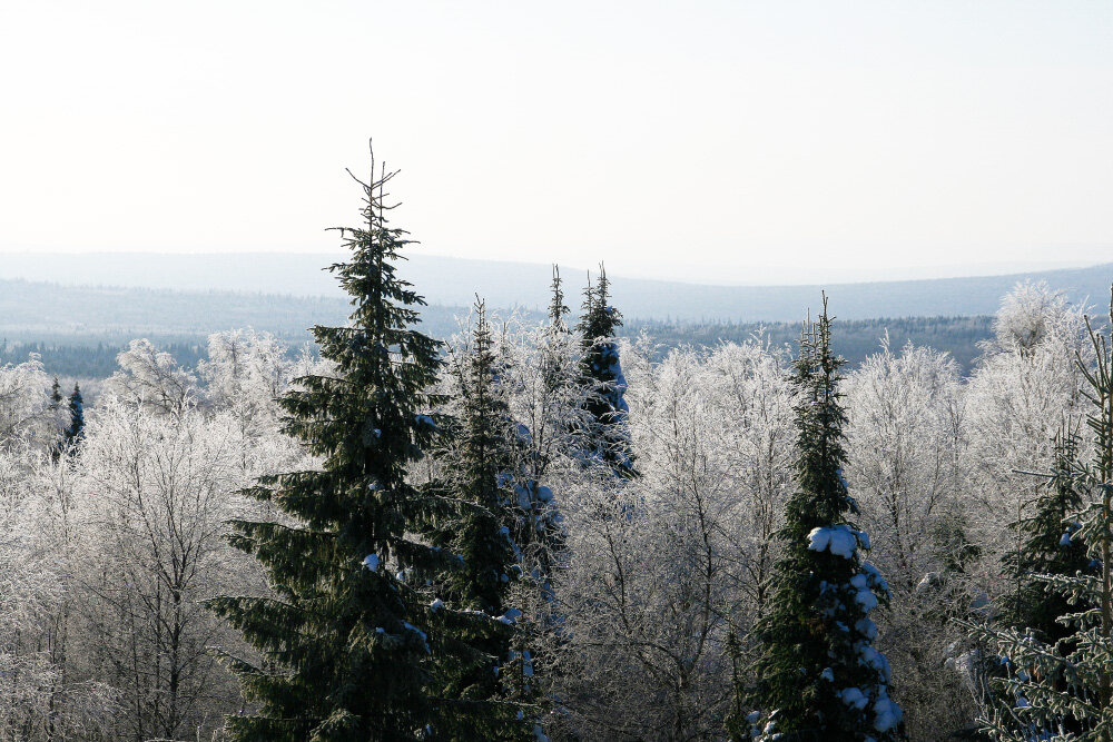 Хрустальный день - Галина Ильясова