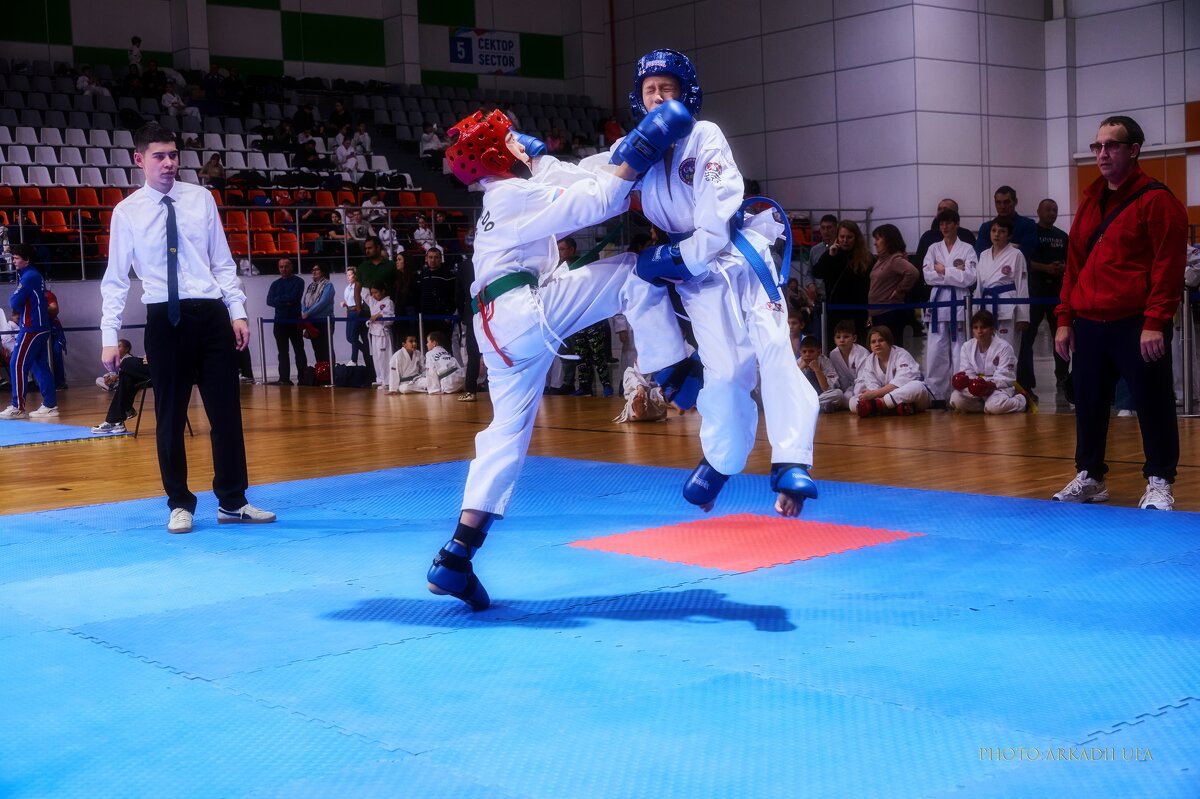 ТХЭКВОНДО - arkadii 