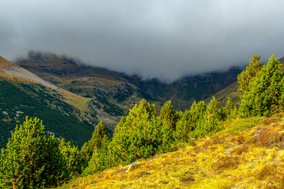 Полутуманный - полусолнечный день - Георгий А