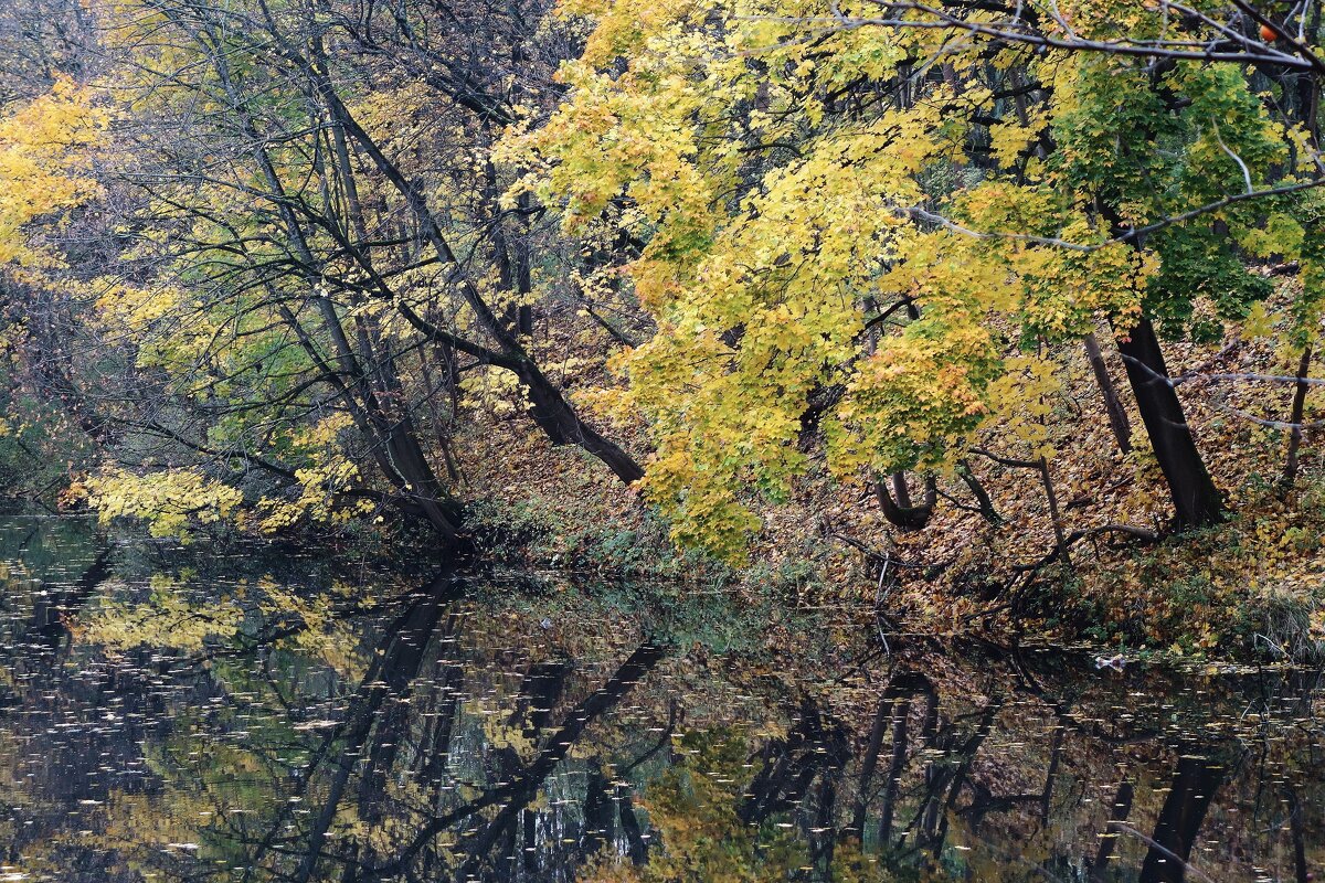 Ноябрьский пейзаж - Рита Симонова