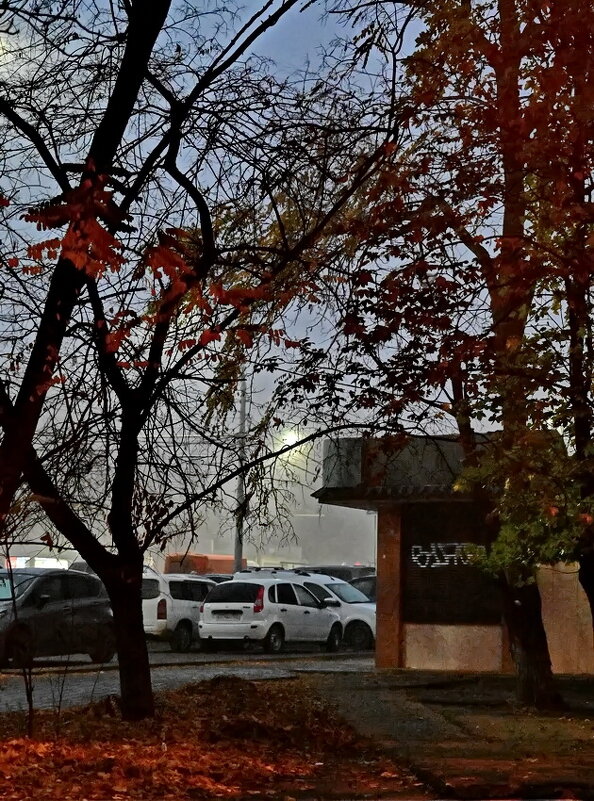 Утро... город... туман... - Николай Саржанов