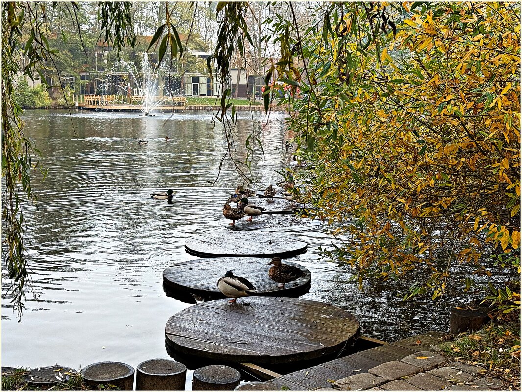 ****** - Валерия Комова