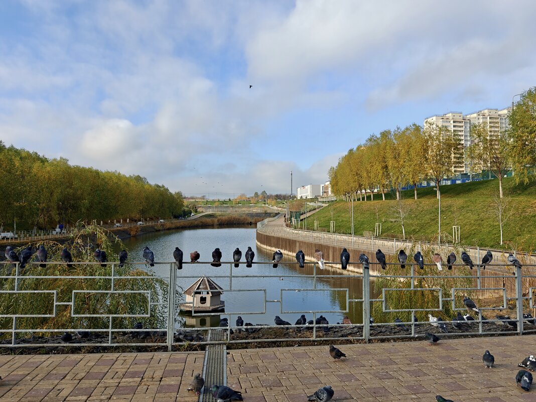 Ростовские зарисовки - Александр Гапоненко