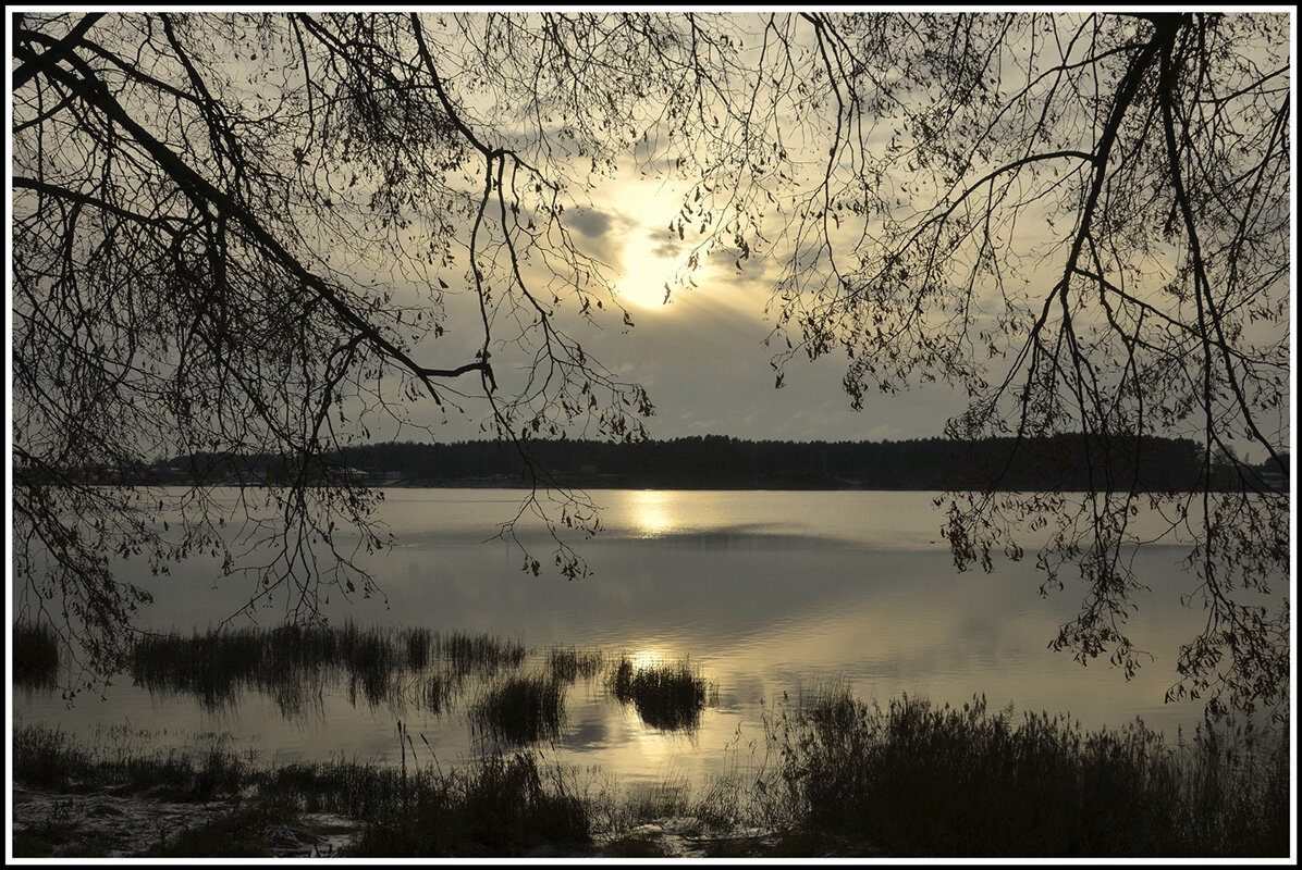 ...природа в ожидании.... - Aleksandr Gal ...природа в ожидании.... - Aleksandr Gal