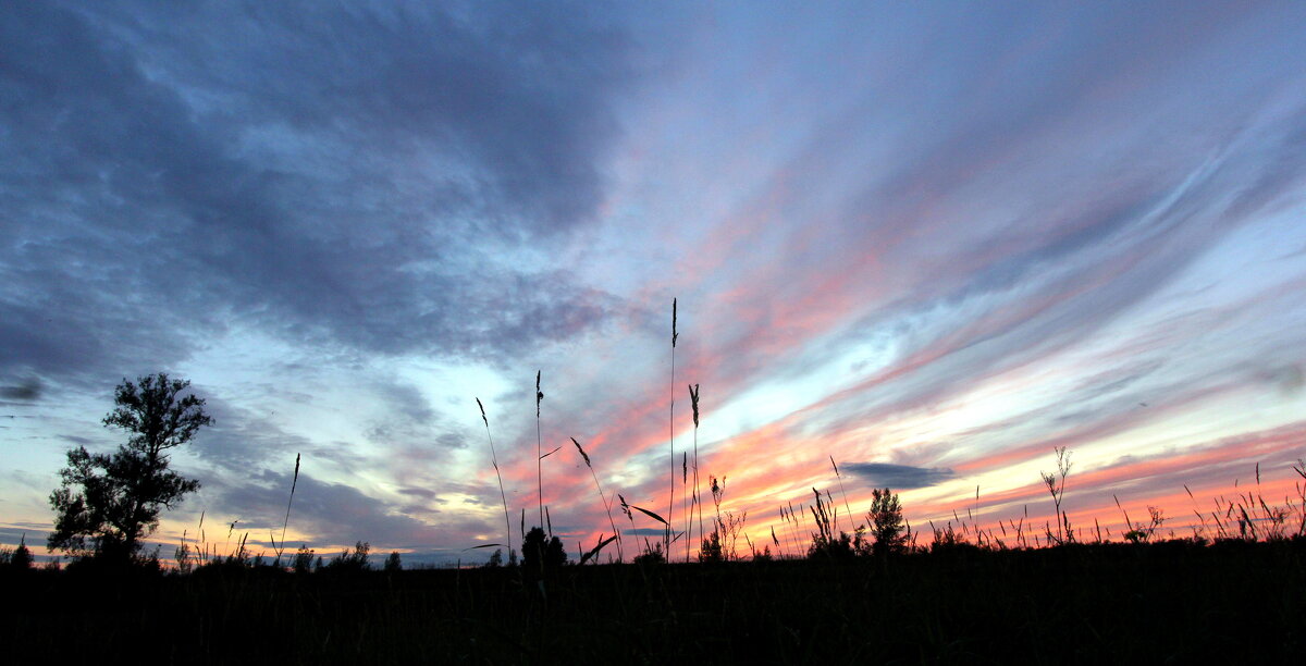 Одиночество и природа - Юрий Налобин