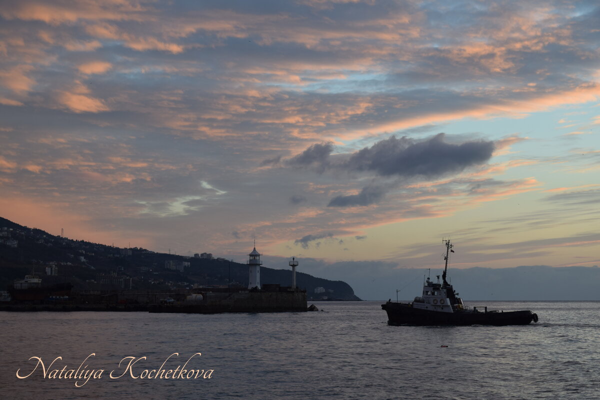 Природа Крыма - Amazing Cosmea