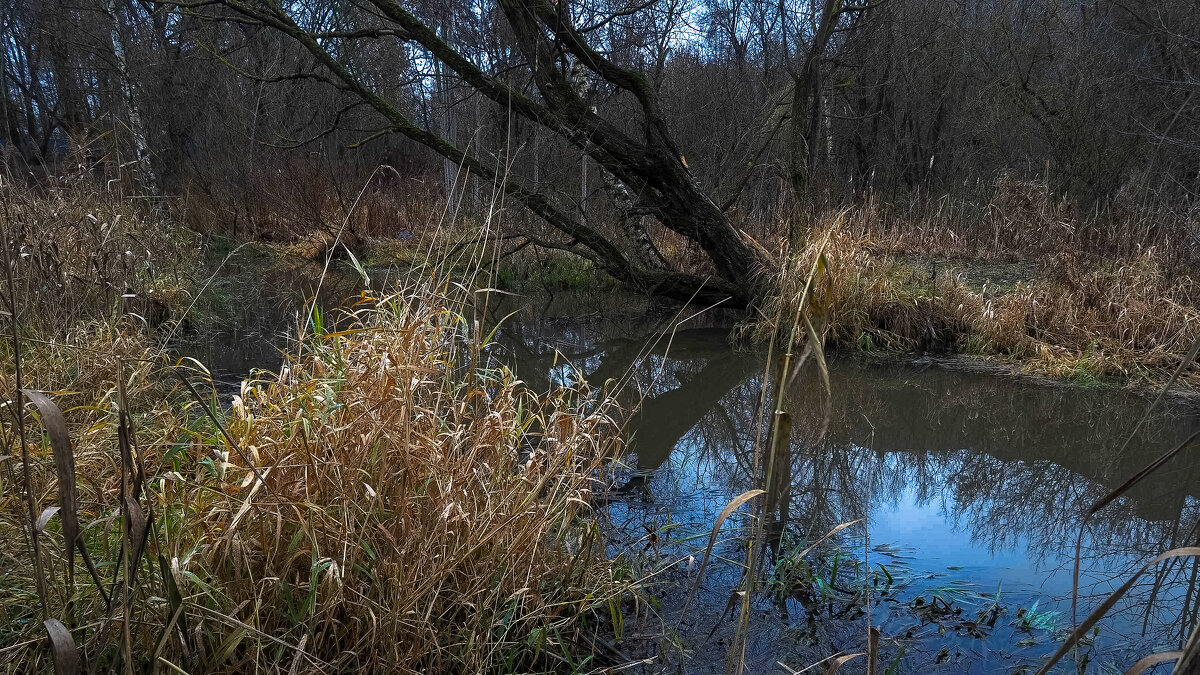 У Тихой Воды - юрий поляков