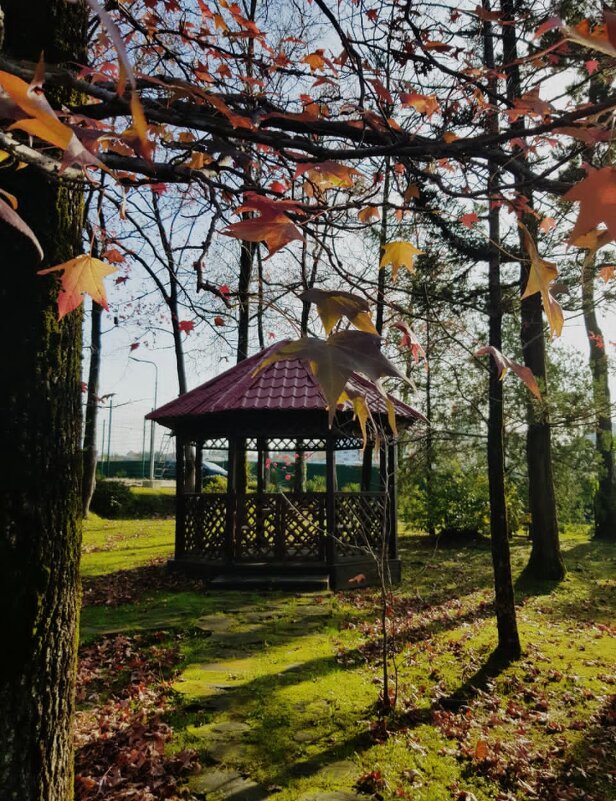 Русь - Tata Wolf