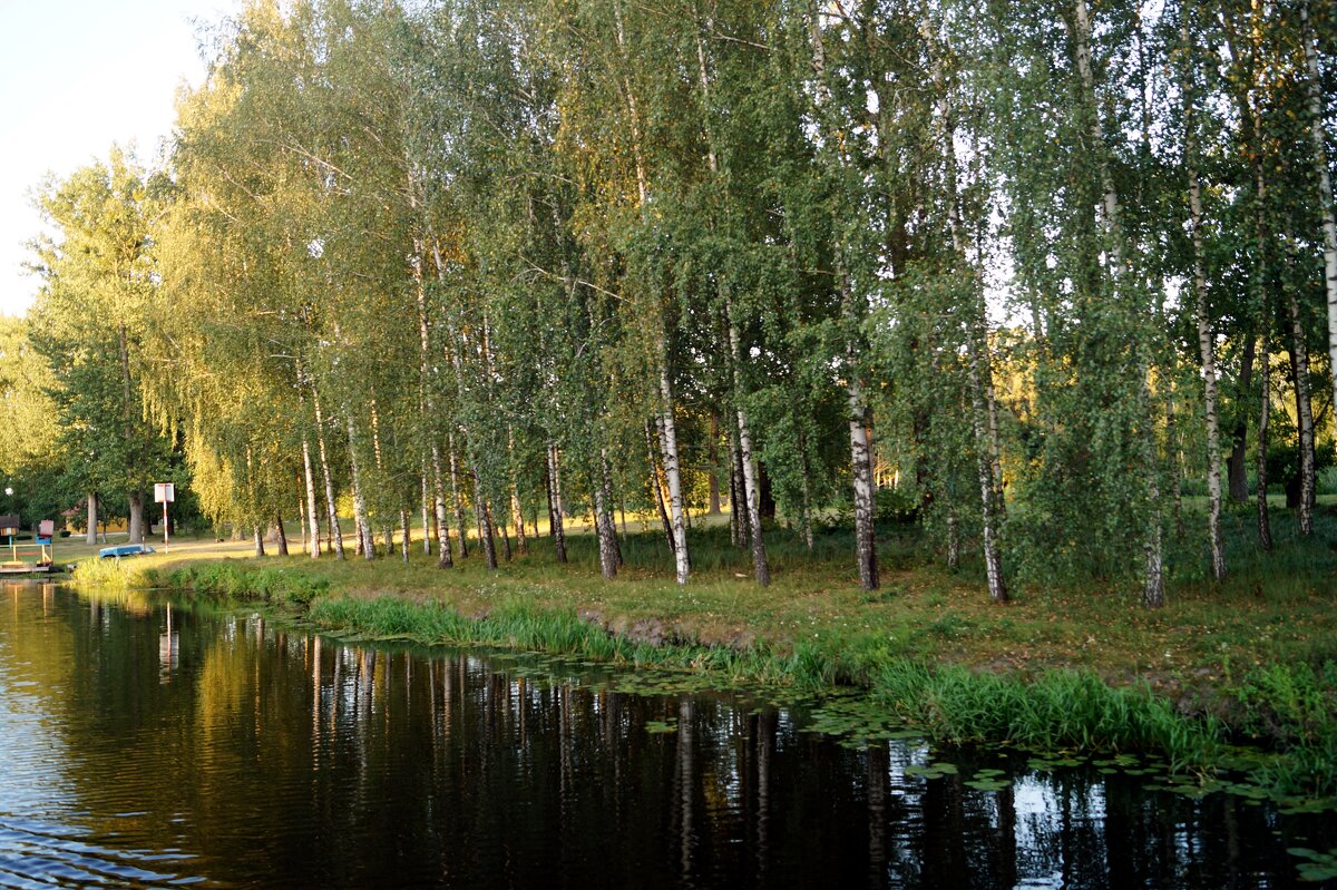 Полесье - Gal` ka