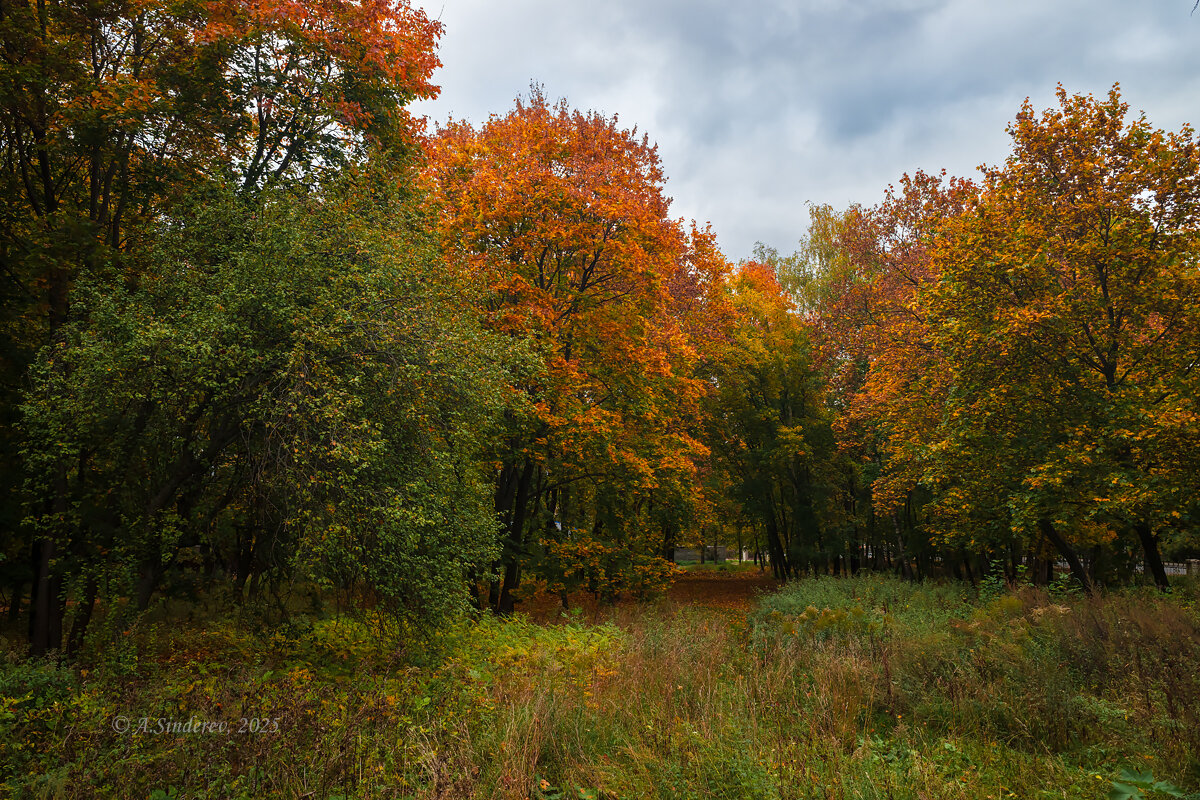 Красивая осень - Александр Синдерёв
