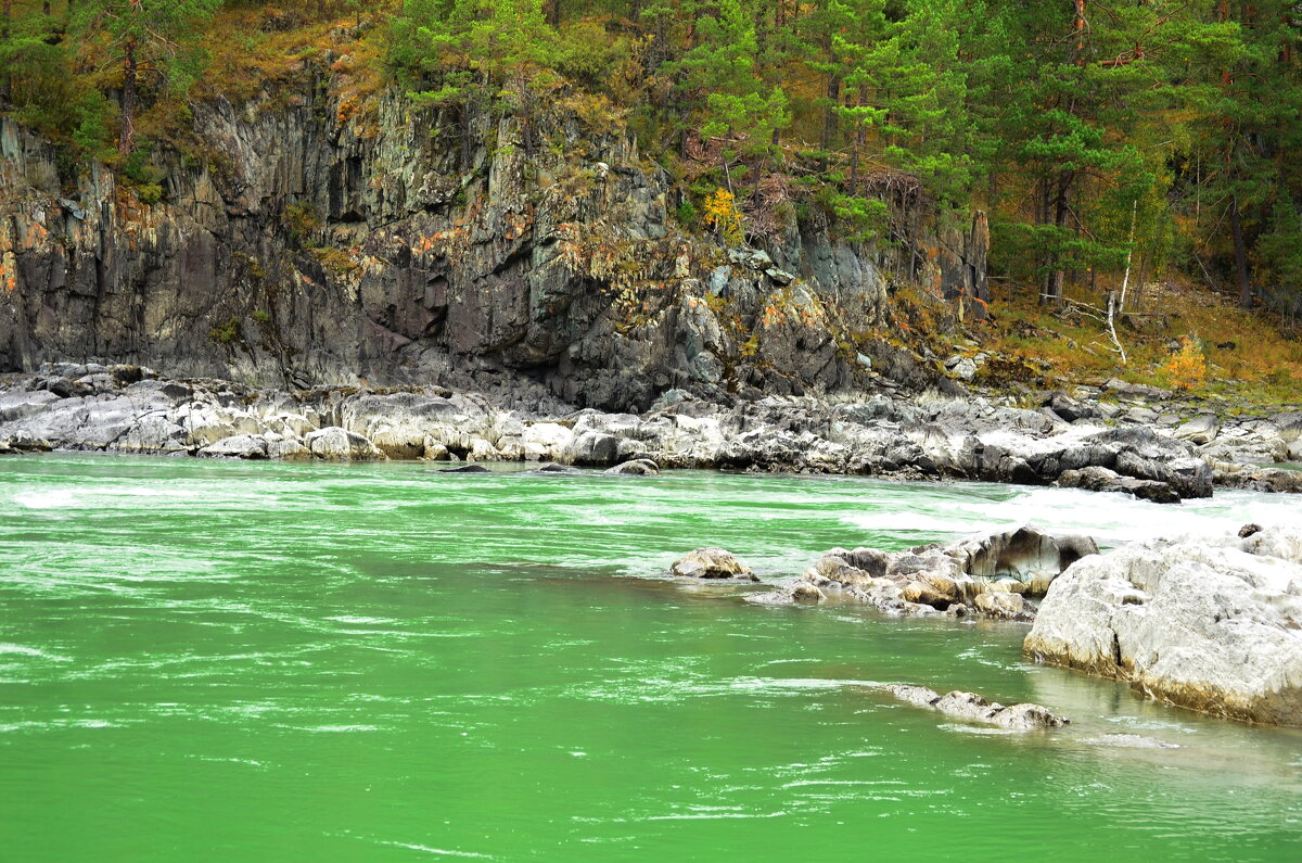 Катунь - Мишель71 