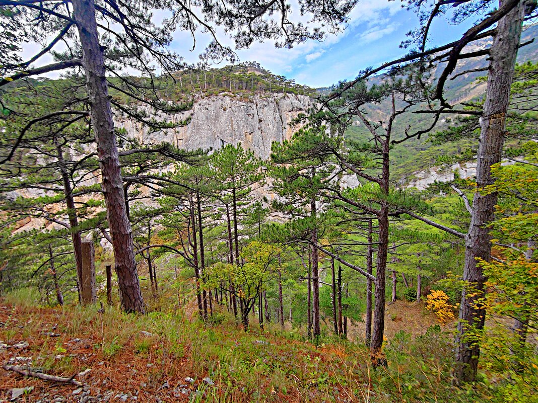 Урочище Уч-Кош - Виктор Мухин