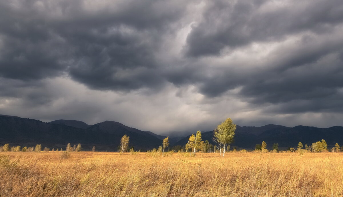 Перед грозой - Марина Фомина.