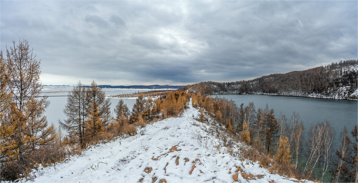 Снежок в ноябре.... - Алексей Мезенцев
