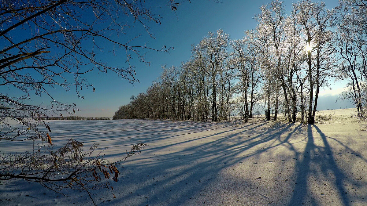 Зима. - Александр. AVG100 ---