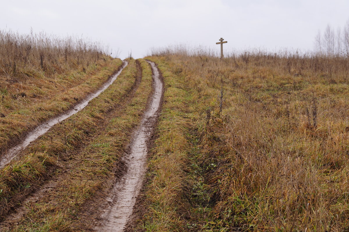 Что там впереди? - Сергей Ц