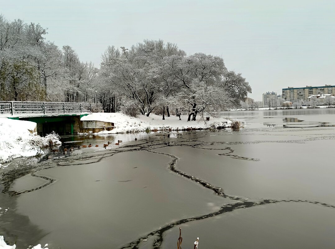 Ноябрьский сюжет - Мария Васильева