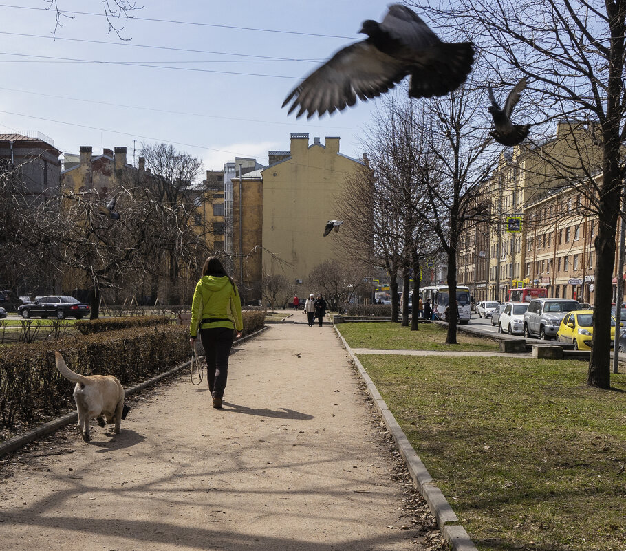*** - Александр Русинов
