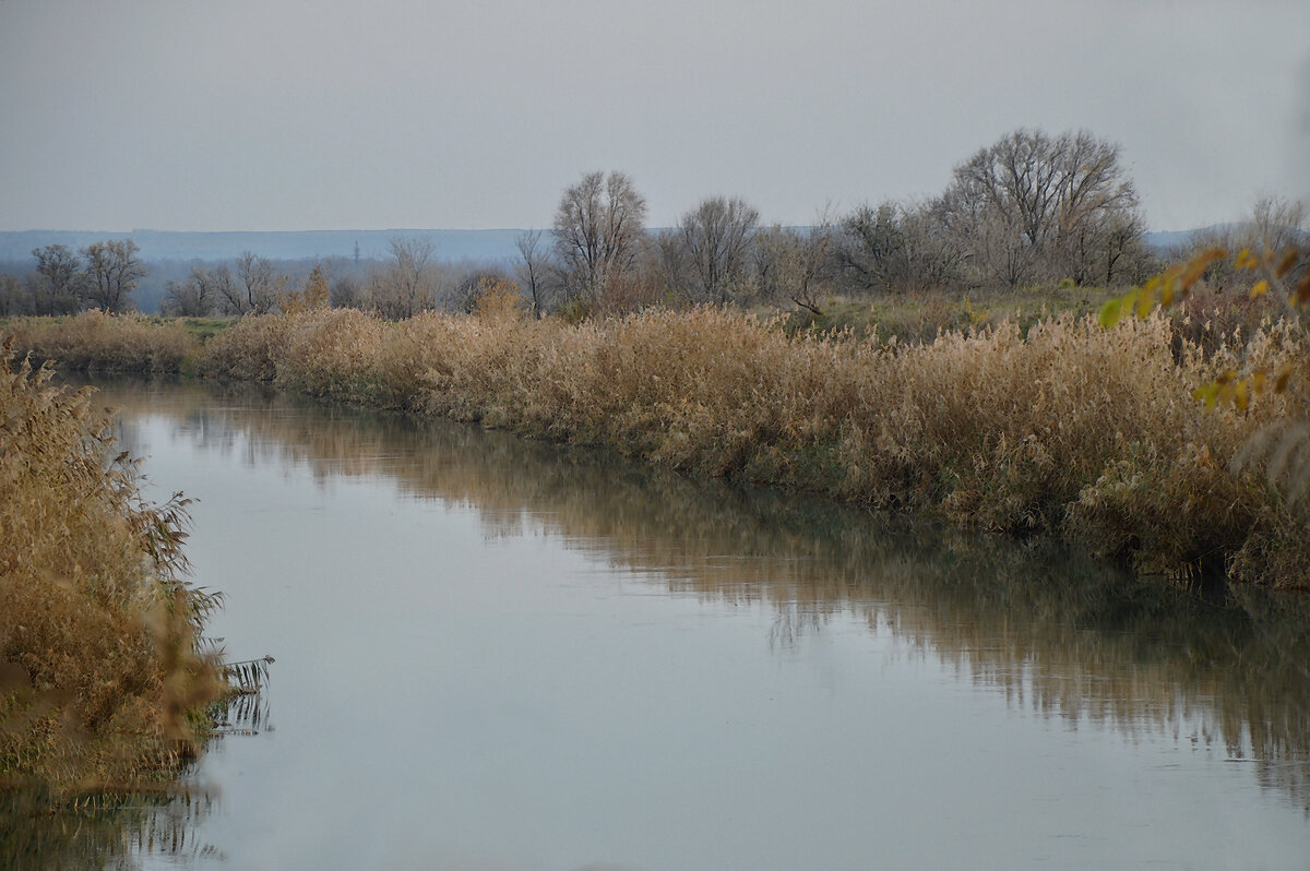 Осенний сон.... - Надежда Куркина 