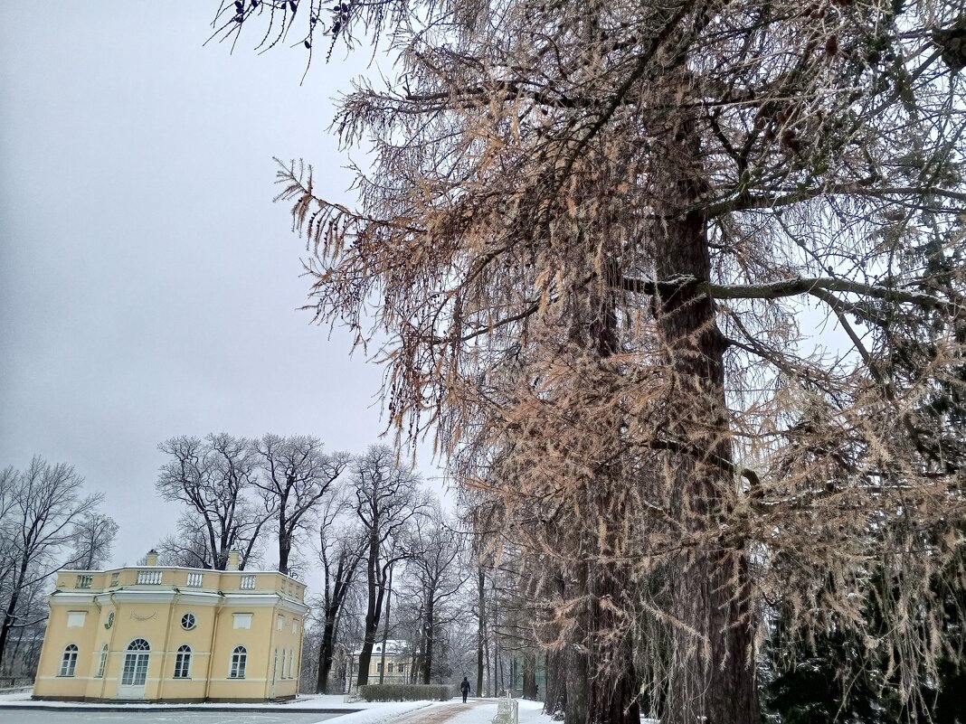 Осень - Сапсан 