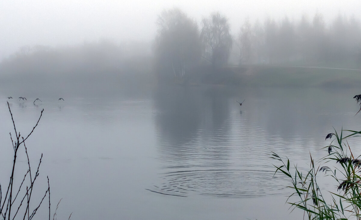 *** - Владимир Безбородов