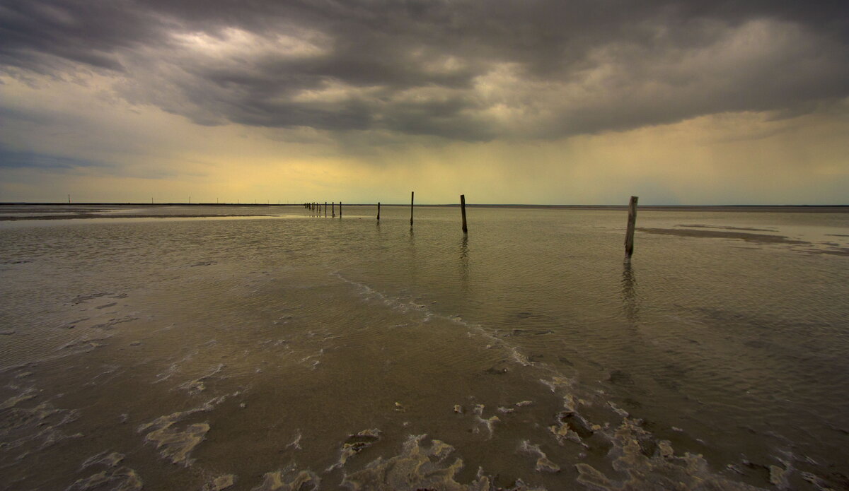 Вечер пропитанный солью - Олег Денисов