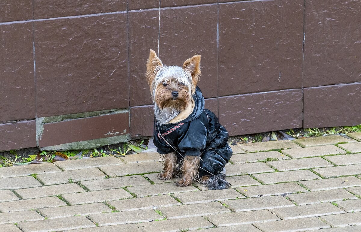 Модник - Валерий Иванович