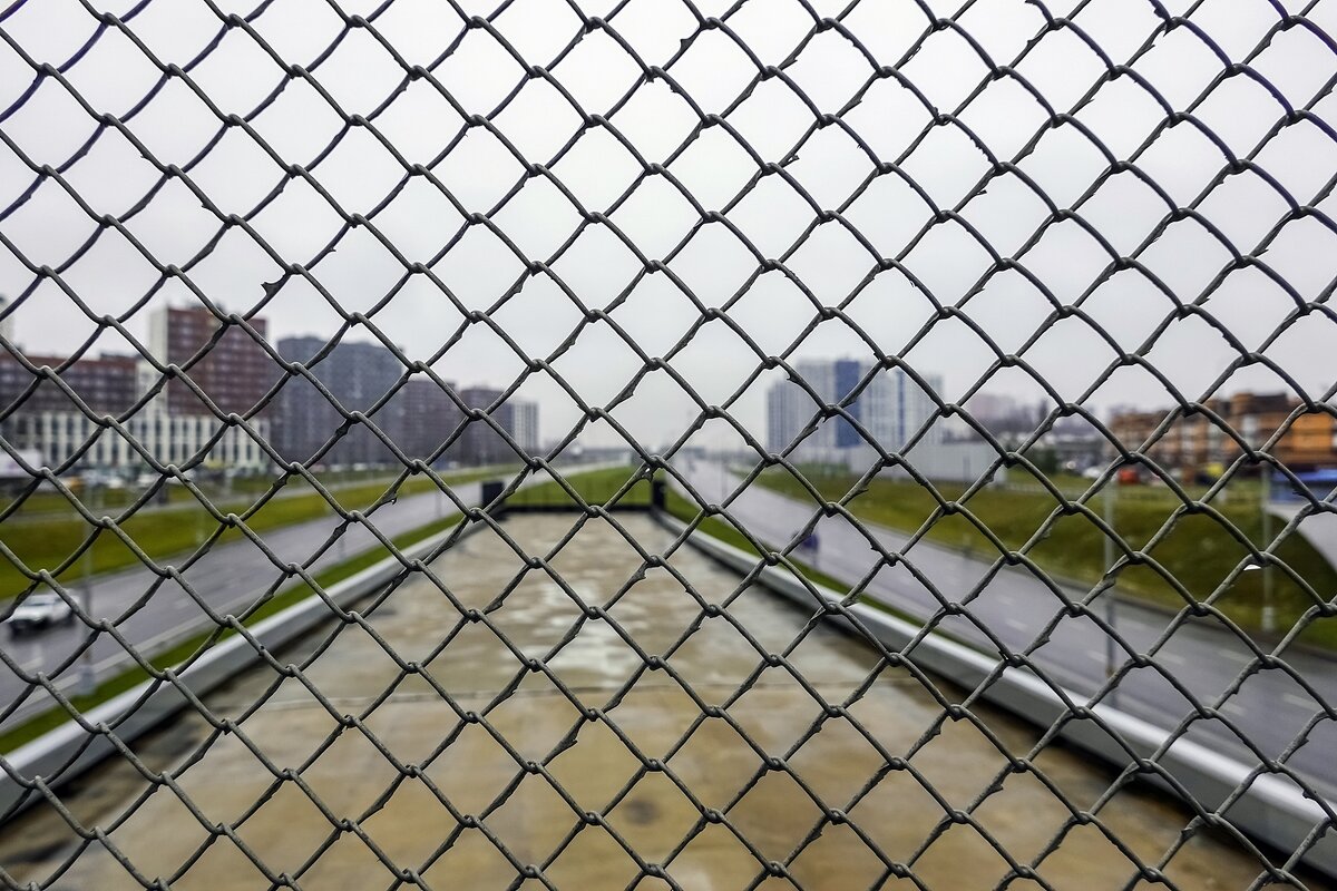 Жизнь в клеточку - Валерий Иванович