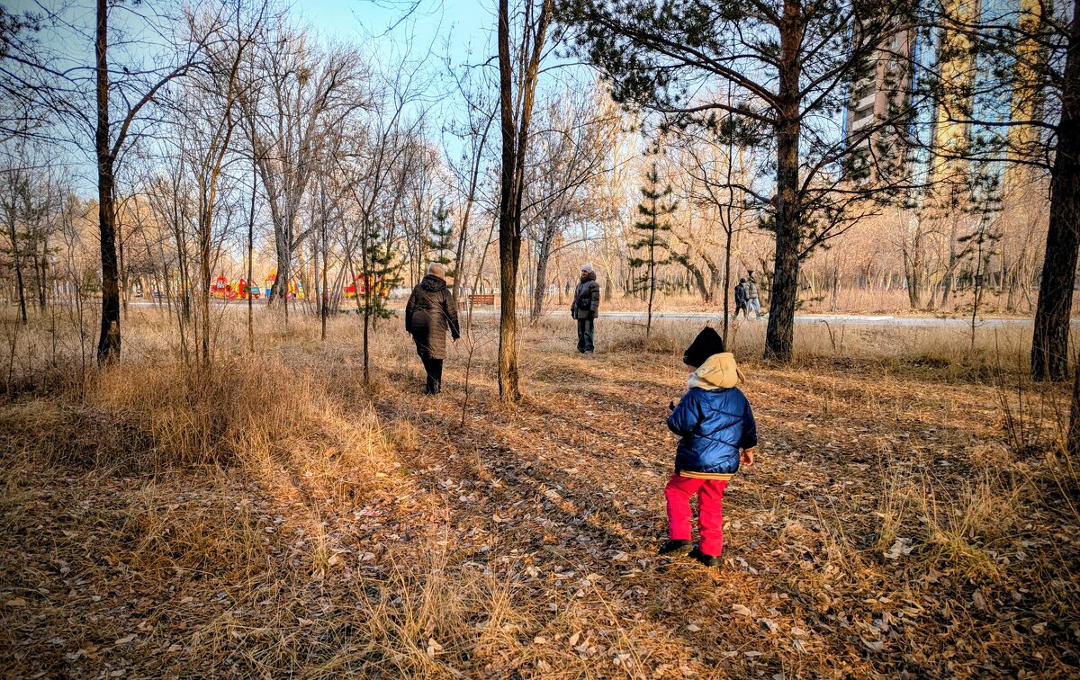 Ноябрьские прогулки... - Андрей Хлопонин